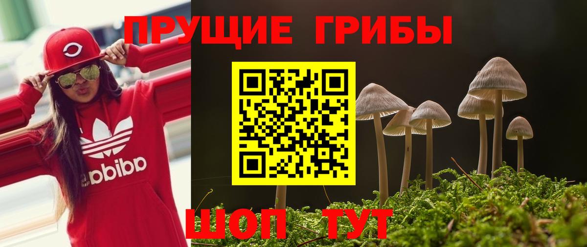 Псилоцибиновые грибы GOLDEN TEACHER  Галлюциногенные грибы Psilocybe  наркошоп  Воронеж  Вход с VPN 