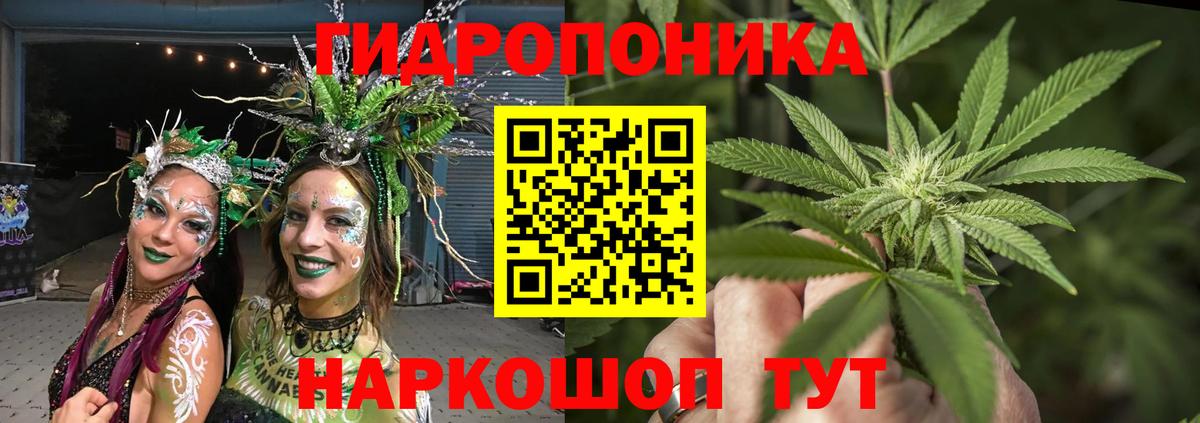 Канабис семена Воронеж